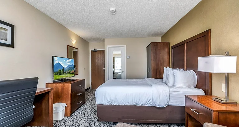 Comfort Inn — photo 3